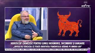 Ce îți rezervă astrele pentru lunile noiembrie, decembrie și ianuarie | Șobolan, bivolul, tigrul, și