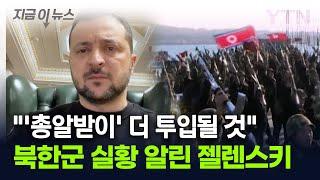 북한군, 러 서부 지역서도 사망·부상...젤렌스키 "더 많이 투입될 것" [지금이뉴스] / YTN