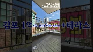 김포1억대 테라스+투룸설하우스010-9869-8284 수도권 최다 매물+회사 건축 단독매물 보유계약 고객 평생케어 #김포투룸 #김포 #투룸분양