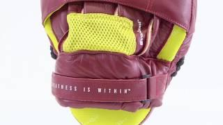 Everlast Elite Punch Mitts