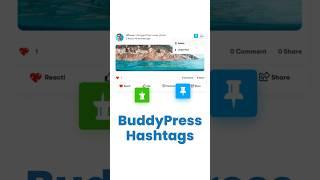 Want to Make Your Community More Fun? Use BuddyPress Hashtags!  |  Wbcom Designs