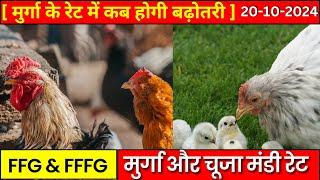 आज का मुर्गा और चूजा थोक मंडी रेट, poultry rate today,murga mandi rate today,murga mandi rate aaj ka