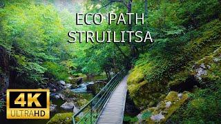 Eco path Struilitsa - Rhodope mountain, Bulgaria - 4K Drone video