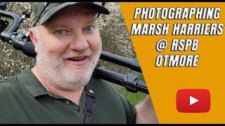 MARSH HARRIER PHOTOGRAPHY, at RSPB Otmoor | BIRD PHOTOGRAPHY | WILDLIFE PHOTOGRAPHY | CANON 90D