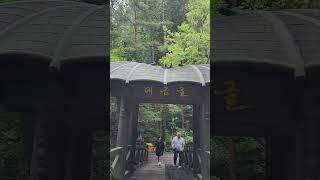 환선굴 또 보고싶다