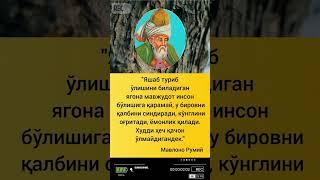 "Яшаб туриб ўлишини биладиган ягона мавжудот.Manoli gaplar Hikmatli sõzlar