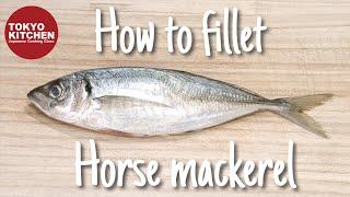 How to fillet Horse Mackerel.