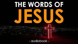 Bible Audiobook • The Words of Jesus | Scripture Music