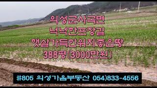 #805 의성가음부동산 산밑 마을근처 확트인 풍경좋고 모양반듯한 벼논 388평 3000만 (당7.7만원) 경지정리된 밭사용추천 전기가능 상수도가능 위치좋은 주말농장용 #의성땅