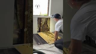 The Genius Way Bees Organise Their Nest
