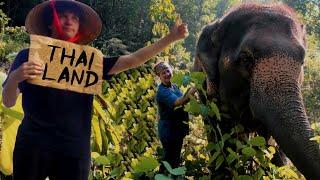 Hitching 5000KM Across South East Asia with No Money (Documentary)
