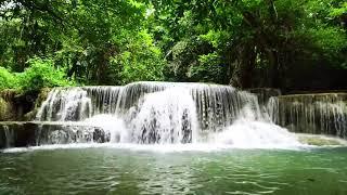 1saatlık Şelale Sesi Rahatlatıcı Muzık Ses /1 Hour of Waterfall Nature Sounds   Relaxing