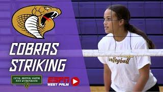 Cobra Volleyball Ready to Strike | Volleyball