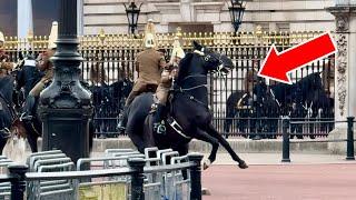 TROOPER GOES DOWN AT BUCKINGHAM PALACE CAUGHT ON CAMERA