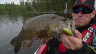 Hunting for shoreline smallmouth - Dave Mercer's Facts of Fishing THE SHOW Season 9 Full Episode