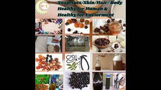 Soap Nuts for Skin Hair Body/Healthy for Human & Healthy for Enviorment. #soapnut#cosmetic#shampoo