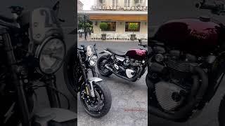 Custom Triumph Speed Twin Walk-around #exhaustsound #bike #shortvideo #shorts #triumph #bonneville