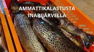 AMMATTIKALASTUSTA INARIJÄRVELLÄ MARRASKUUSSA || VERKKOKALASTUSTA