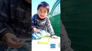 Mountain Kids from Gilgit Baltistan Pakistan