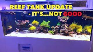 REEF TANK UPDATE - DISASTER…