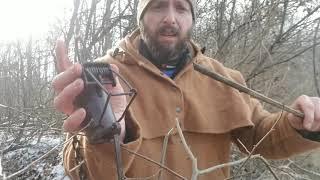 Setting a Dog Proof trap with a Trap Stake