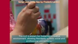 Fine Arts LLC Spotlight   YouTube