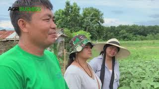 Sitaw and Ampalaya Farming using Nutrition Farming. Farm Tour | Agribusiness How It Works