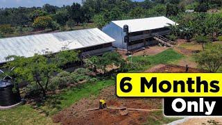 How to Start a Profitable Farm in 6 MONTHS ONLY