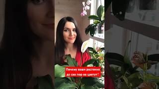 ПОЧЕМУ ВАШИ РАСТЕНИЯ ДО СИХ ПОР НЕ ЦВЕТУТ?