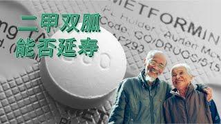 Can Metformin Help You Extend Your Healthy Lifespan?