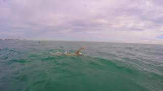 Stuart Hacker Shows us what Its Like Swimming The English Channel