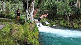 AGUAS CRISTALINAS Y EL PARAÍSO DE TIOYACU RIOJA - SAN MARTIN 