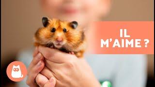 Comment SAVOIR si mon HAMSTER m'AIME ?  (5 Signaux)