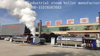 Industrial steam boiler manufacturer/ gas Diesel Oil coal boiler/industrial boiler/boiler machine