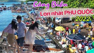 Khám phá Cảng Biển Lớn Nhất Phú Quốc - 1 bên du lịch, 1 bên cảng cá