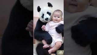 Adorable Panda Shares Precious Moments with Human Baby