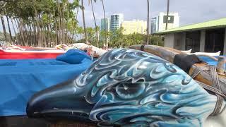 Hawaiian Outrigger Canoes Hoe At Dawn  4K