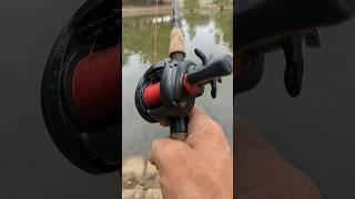 Abu Garcia Black Max!