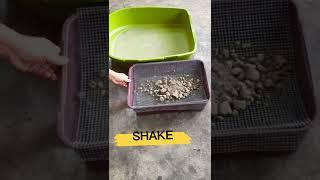 How to Clean Cat Litter box #short