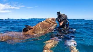 Spearfishing GIANT Groupers In The Bahamas! (Nonstop Action)