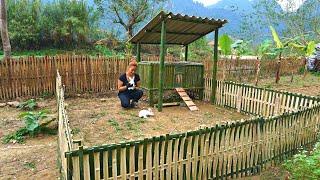 Complete construction of safe barns for adorable bunnies - Lý Mai Farmer