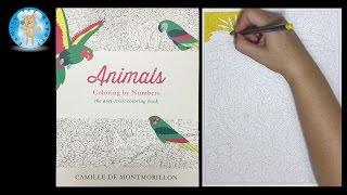 Animals Coloring by Number Adult Coloring Book Speed Color - Family Toy Report