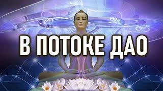 ДАО уже происходит | ОШО