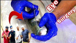 AROWANA EYE *SURGERY* how to fix Arowana drop eye