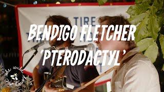 Bendigo Fletcher - Pterodactyl | The Wild Honey Pie Dinner Party