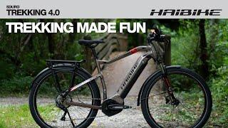 2020 Haibike Trekking 4.0