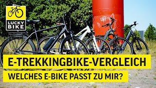 Kaufberatung E-Trekkingbike | Welches E-Bike passt zu mir?