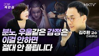 감정을 처리하는 가장 좋은 방법 내면소통 불안장애 우울증 공황장애 예방 명상 책추천 - 연세대학교 김주환 교수 ‘내면소통’ 20분 책 한 권