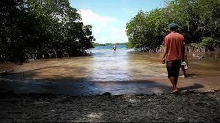 Daduwe Mangrove Tour July 2019 (Thomas and Bihu)