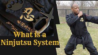 Complete Ninjutsu Training Program Details